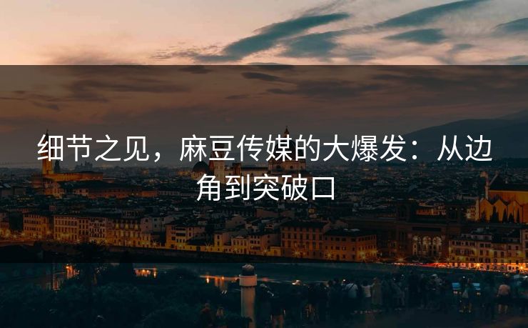 细节之见,麻豆传媒的大爆发:从边角到突破口